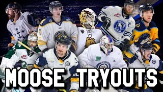 Manitoba Moose Offer 9 Amateur Tryout Deals Ahead of AHL Training Camp [upl. by Corbin787]