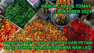 Harga cabai merah hari ini 13 Oktober 2024  Info harga tomat dan cabai saat ini di Jawa Timur [upl. by Seni]