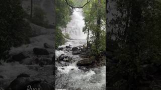 Thusharagiri water falls in Kozhikode  shortsfeed shorts thusharagiri waterfall [upl. by Bluhm]