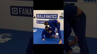 Take the Back from Single Leg Half Guard by Ricardo Soranço [upl. by Blase]