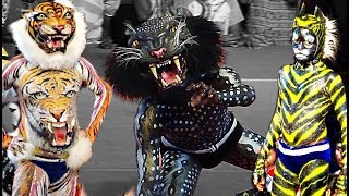 Tiger Dance Barke Tigers Mangalore  Pili Nalike [upl. by Iidnarb920]