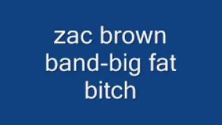 zac brown bandbig fat bitch [upl. by Valeta]