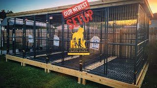 The Outdoor Dog Kennel Setup that Just Keeps Getting Better The Build and Setup  North Carolina [upl. by Obe]