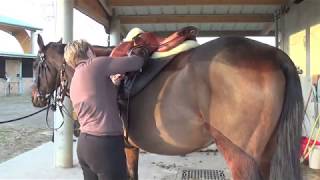 Comment je prépare un cheval intégralement avant un cours [upl. by Amelina]