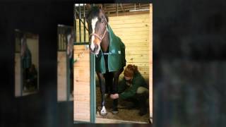 Lake Erie College Equine Studies Program [upl. by Ylecic]