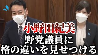 小野田紀美、立憲議員の不毛な揚げ足取りを覇気で黙らせる【羽田次郎】【2022年11月15日参議院 外交防衛委員会】 [upl. by Lebyram]