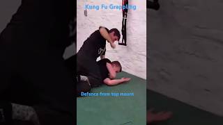 Kung Fu Grappling Beginners full video check the comments kungfu grappling taichi wingchun [upl. by Jeritah]