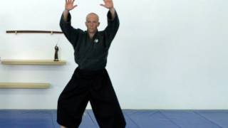 Ninjutsu stance application Hoko no kamae  technique for Akban wiki [upl. by Adnaluoy]