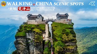 Fanjing Mountain in Guizhou Province  China Walking Tour  貴州梵淨山 [upl. by Aer]