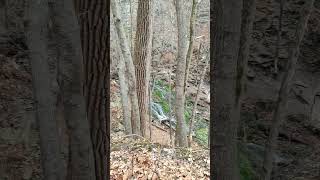 Dunning spring waterfalls Iowa [upl. by Johnson260]