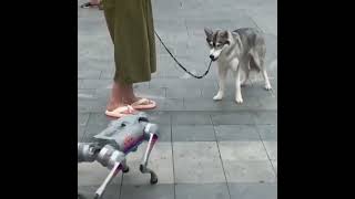 New doglike robot from Boston Dynamics can open doors [upl. by Nalra708]