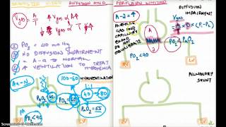 Diffusion and Perfusion Limited Graph Part 3 [upl. by Tally]