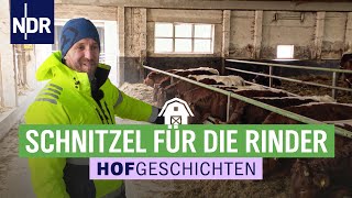 Schnitzel für die Rinder  Hofgeschichten Leben auf dem Land 276  NDR [upl. by Ariad]