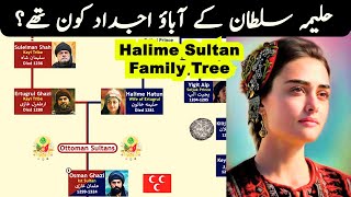 Halime Sultan Family Tree  Seljuk Wife of Ertugrul Ghazi [upl. by Reimer]