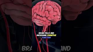 Boost Your Brain Function Regular Exercise health exercise brain facts motivation shorts [upl. by Lledo]