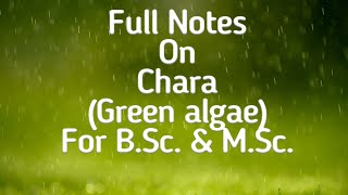 Chara Green algae Thallus Structure amp Lifecycle for BSc MSc amp NEET by Dr AK Sharma [upl. by Cristiona]