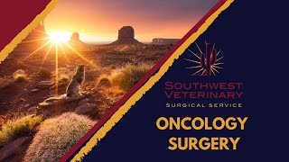 SVSS  Oncology Surgery [upl. by Anallij10]