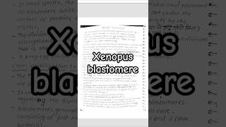 Xenopus blastomere shorts notes msc bsczoology biology [upl. by Starr]