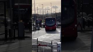 Buses In Carmarthen 22112024 ukbuses [upl. by Ateuqahs154]