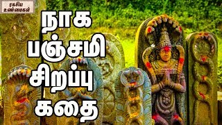 நாக பஞ்சமி சிறப்பு கதை  Naga Panchami special [upl. by Ogata589]