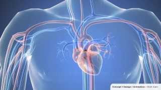 Cardiac catheterization  3D Animation 1080p [upl. by Huberto]