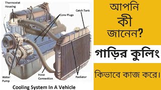 কিভাবে ইঞ্জিন কুলিং সিস্টেম কাজ করে। How Engine Cooling Water System Works। Car Engine Cooling। [upl. by Selie483]