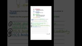 GCSE Biology  Monoclonal Antibodies 6 Marks Pregnancy Test  HCG ✅gcse biology [upl. by Yeltsew]