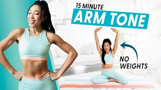 15 Minute Arm Burnout weightless upper body workout [upl. by Sandeep983]