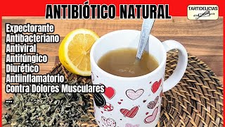 🤒🌡️ REMEDIO Casero NATURAL para RESFRIADOS 🤧 GRIPE y CÁNDIDA TÉ de ORÉGANO [upl. by Idnarb]