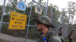 Florida Trail  Big Cypress National Preserve Day Hike  Huge Snakes and Alligators [upl. by Anailli]