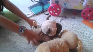 Cachorros Al Rescate Pelicula Hecha Con Juguetes PARTE 3 [upl. by Nugent795]