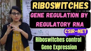 Riboswitches  Regulation of Gene Expression by Riboswitches  Regulatory RNA [upl. by Harriott]