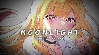 Moonlight  Slowed  Reverb  LoFi [upl. by Hallimaj147]