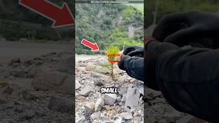 Rescuing a Tiny Roadside Plant 😍 [upl. by Auqenahs789]