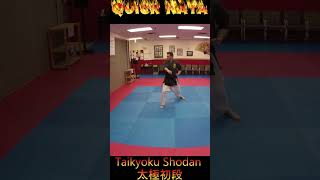 Kata Tutorial Taikyoku Shodan karate karatekata taikyokushodan [upl. by Schriever]