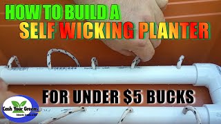 HOW TO BUILD A SELF WICKING PLANTER  Self Watering Pot for 5 [upl. by Hgeilhsa460]