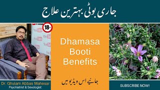 Dhamasa Booti Benefits in UrduHindi  Dhamasa Booti Ke Fayde  Dr G Abbas [upl. by Ahsasal664]