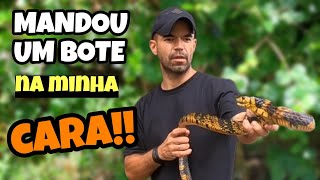 COBRA CANINANA  RESGATANDO CANINANA BRAVA 🐍 [upl. by Chemush]