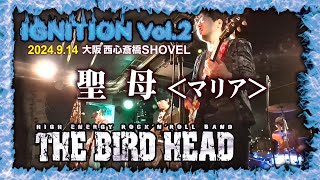 THE BIRD HEAD【バードヘッド】「聖母＜マリア＞（歌詞あり）」IGNITION Vol2 Live大阪 西心斎橋SHOVEL 2024914 [upl. by Hazelton]