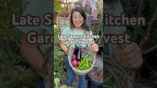 Surprising Potato Harvest  Container Vegetable Gardening [upl. by Levison]