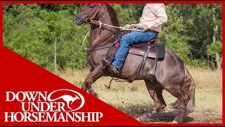 Clinton Anderson Handling a Rearing Horse  Downunder Horsemanship [upl. by Chak408]