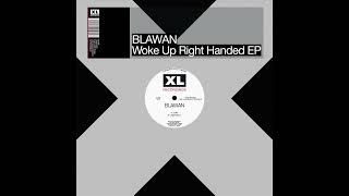 Blawan  Close The Cycle [upl. by Abel]