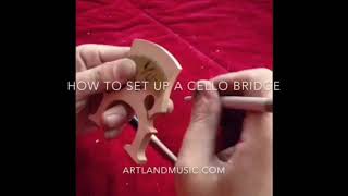 how to cut a cello bridge to fit the cello [upl. by Hayley]