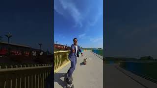 The owner filmed his dog skateboarding and the perspective was amazing skateboarding dog [upl. by Gristede]