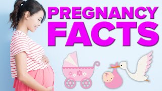 Surprising Pregnancy Facts [upl. by Esialb455]