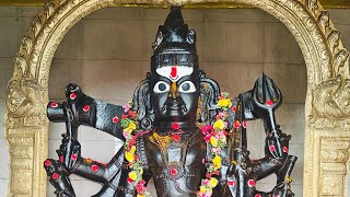 🙏🚩🔥Jai Ashtakaal bhairava Abhishekam 🔴 Live Darshan 🔱🕉️🪔 [upl. by Adnav]