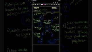 Endocytosis and exocytosis flow chartneet2025 endocytosis plasmamembranemusic song youtube [upl. by Arva210]