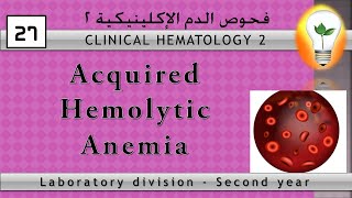 Clinical Hematology 27 Acquired Hemolytic Anemia الأنيميا التكسيرية المكتسبة [upl. by Walcoff]