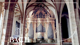 The Silbermann organ in Freiberg  Netherlands Bach Society [upl. by Levesque155]