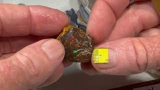 AUSTRALIAN MIXED OPAL FIELDS OF AUSTRALIAN PRO CUTTER PARCEL QUALITY GEMS WILL CUT opaldigger eBay [upl. by Hawkins]